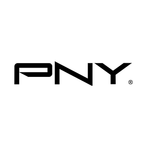 پی ان وای