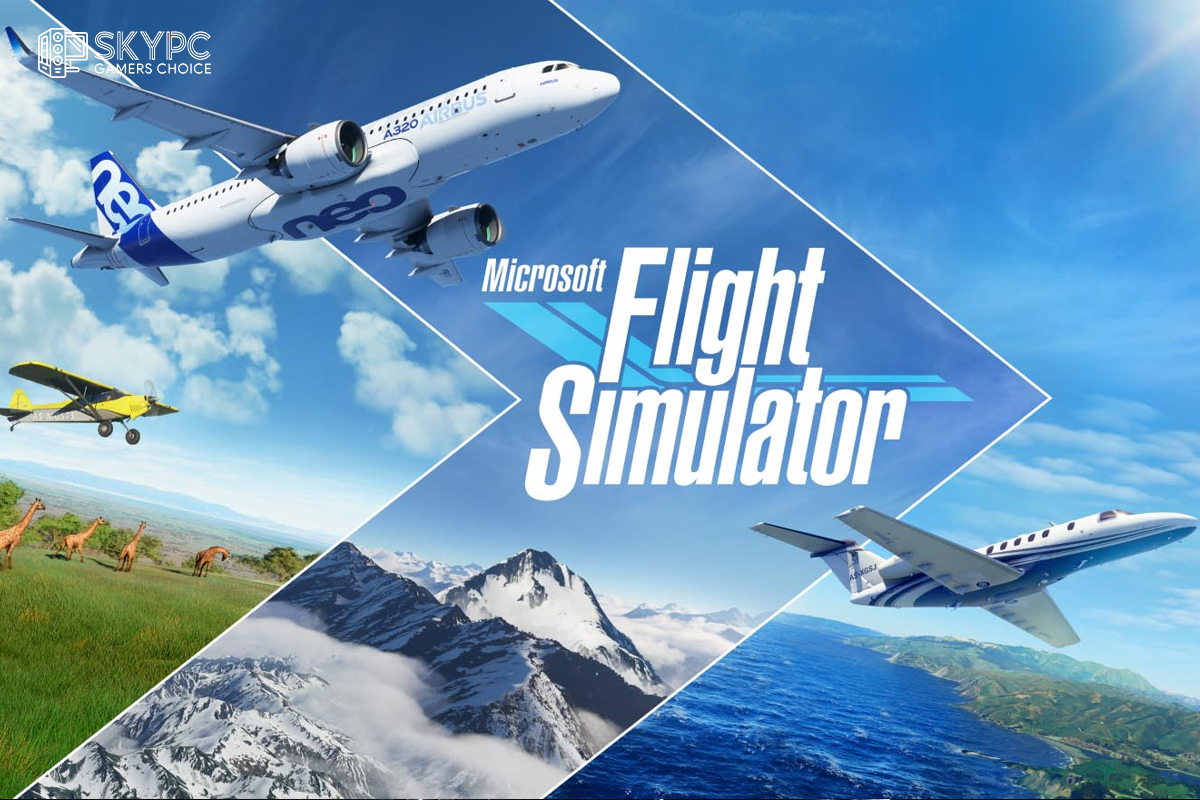 fight simulator