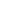 rapoo